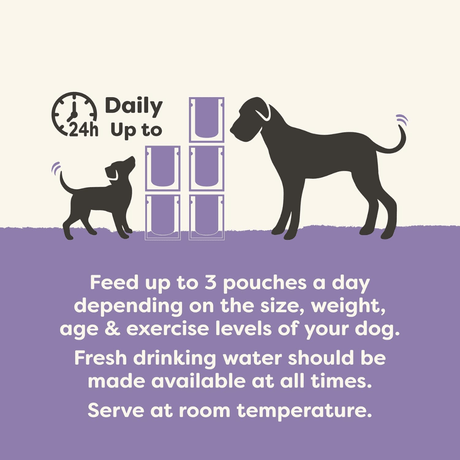 Applaws Dog Taste Toppers in Gravy - Lamb and Veg Pouch