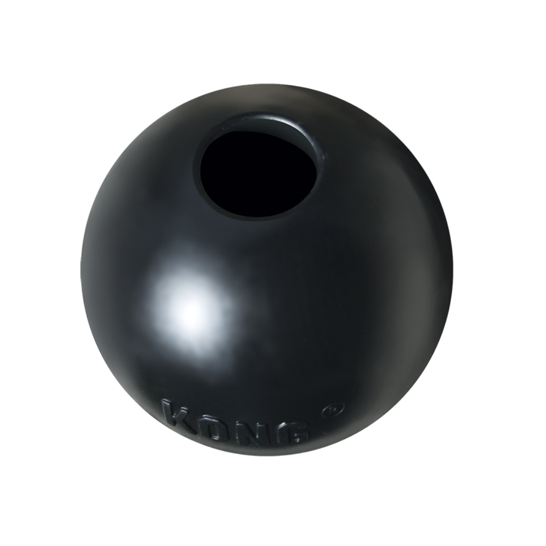 Kong fetch ball sales