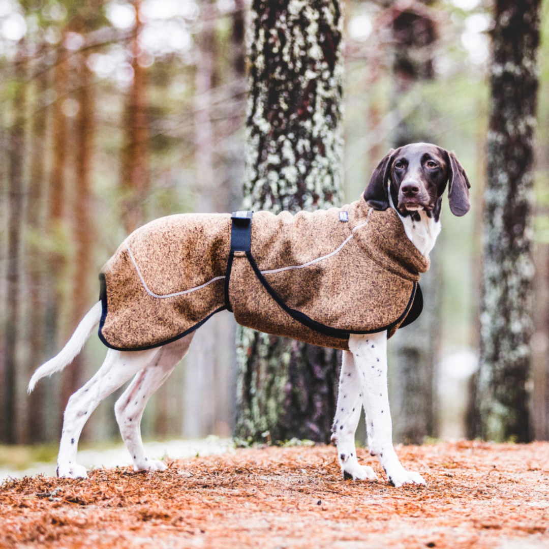 German shorthaired 2025 pointer jacket