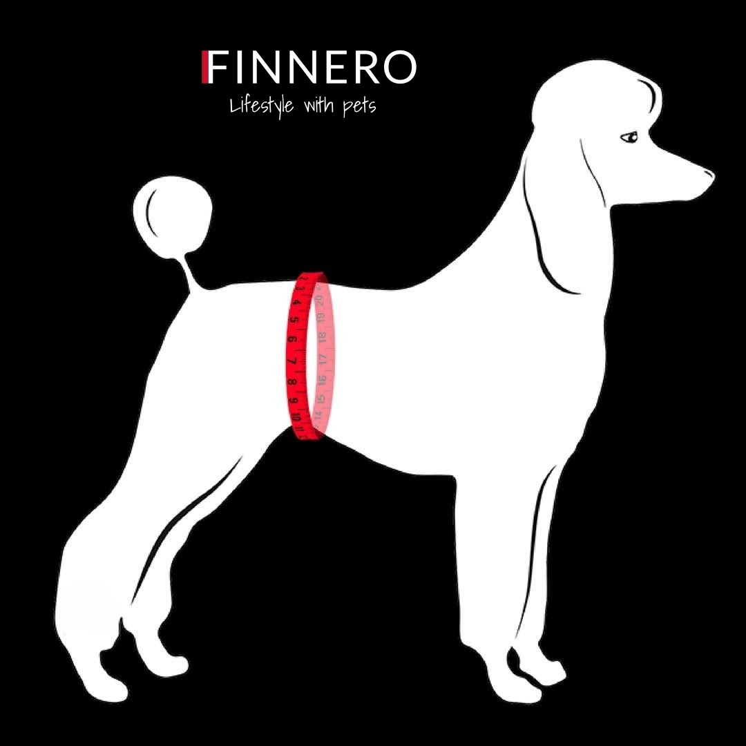 Finnero JustInCase Male Dog Belly Band