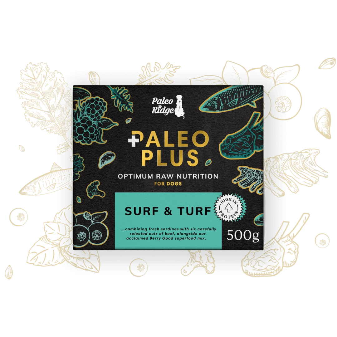 Paleo Ridge Plus - Surf and Turf