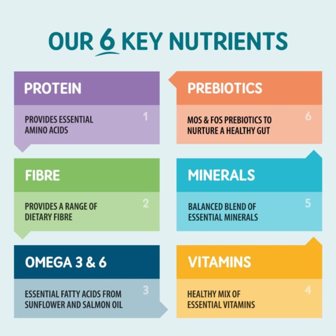 Our 6 Key Nutrients - Protein, Fibre, Omega 3 & 6, Prebiotics, Minerals, Vitamins.