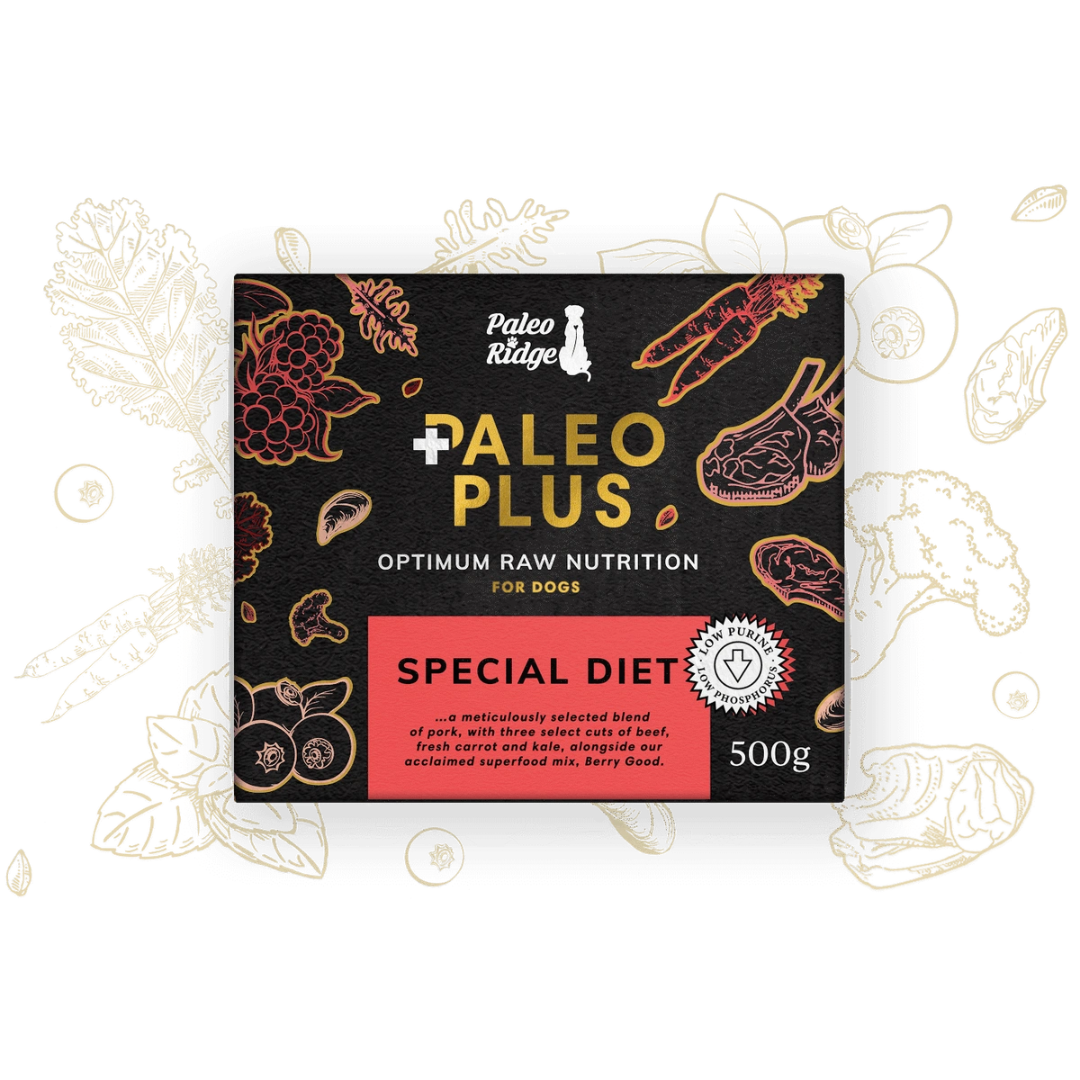 Paleo Ridge Special Diet 500g Box