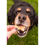 A human feeding their dog a Bananas About Butter Happy Tails Barkery Dog Treat