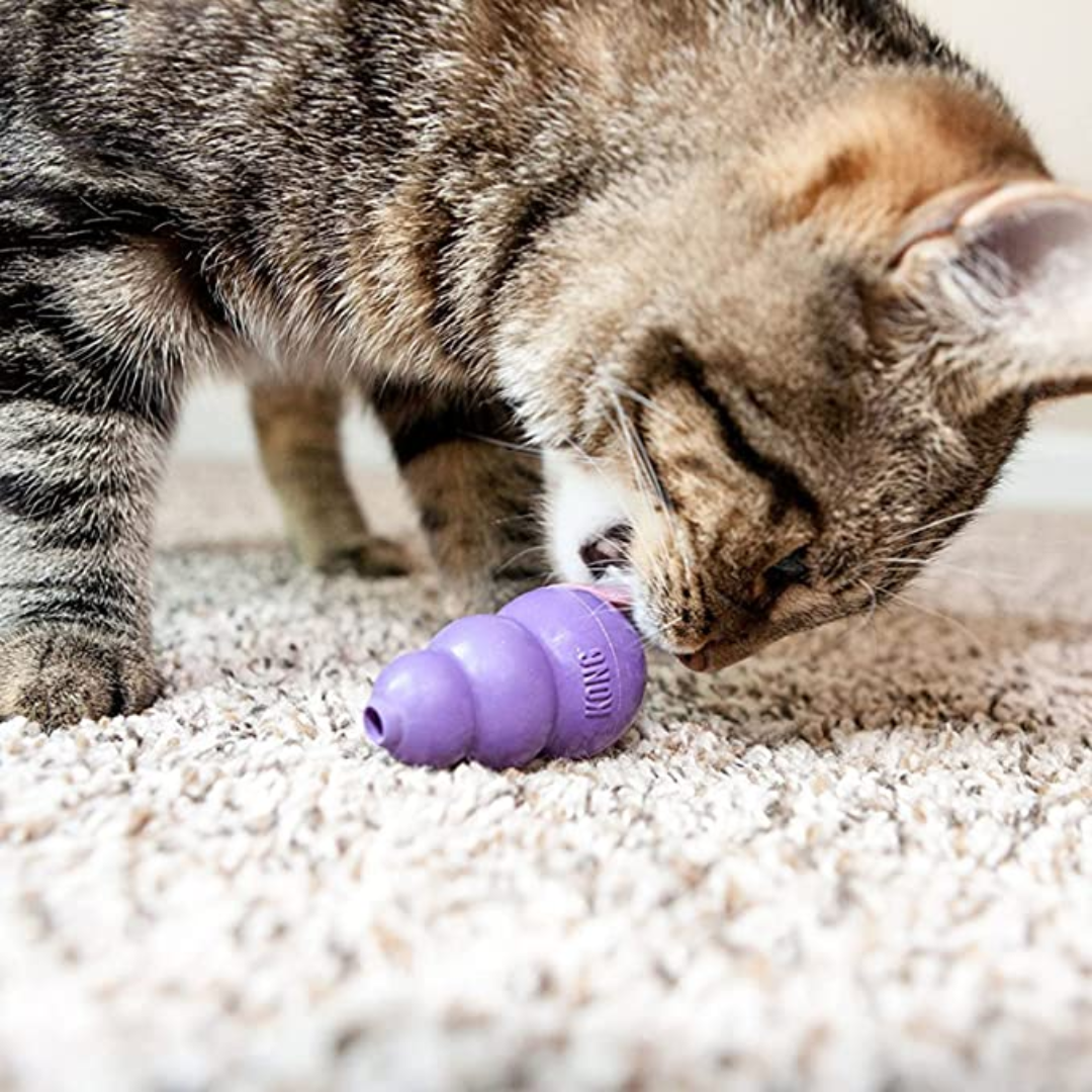 Kitty Kong Kong for Cats Fetch Your Pet Needs