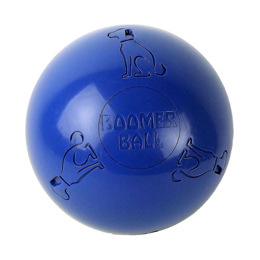 Boomer Ball for Dogs