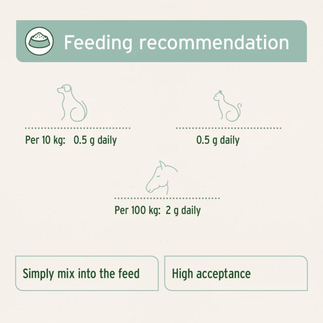 Feeding guidelines for the Aniforte Green-Lipped Mussel Powder. There are guidelines for dogs, cats and horses.