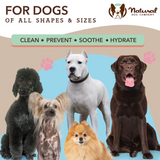 Some key benefits of the Natural Dog Company Skin Soother Wipes