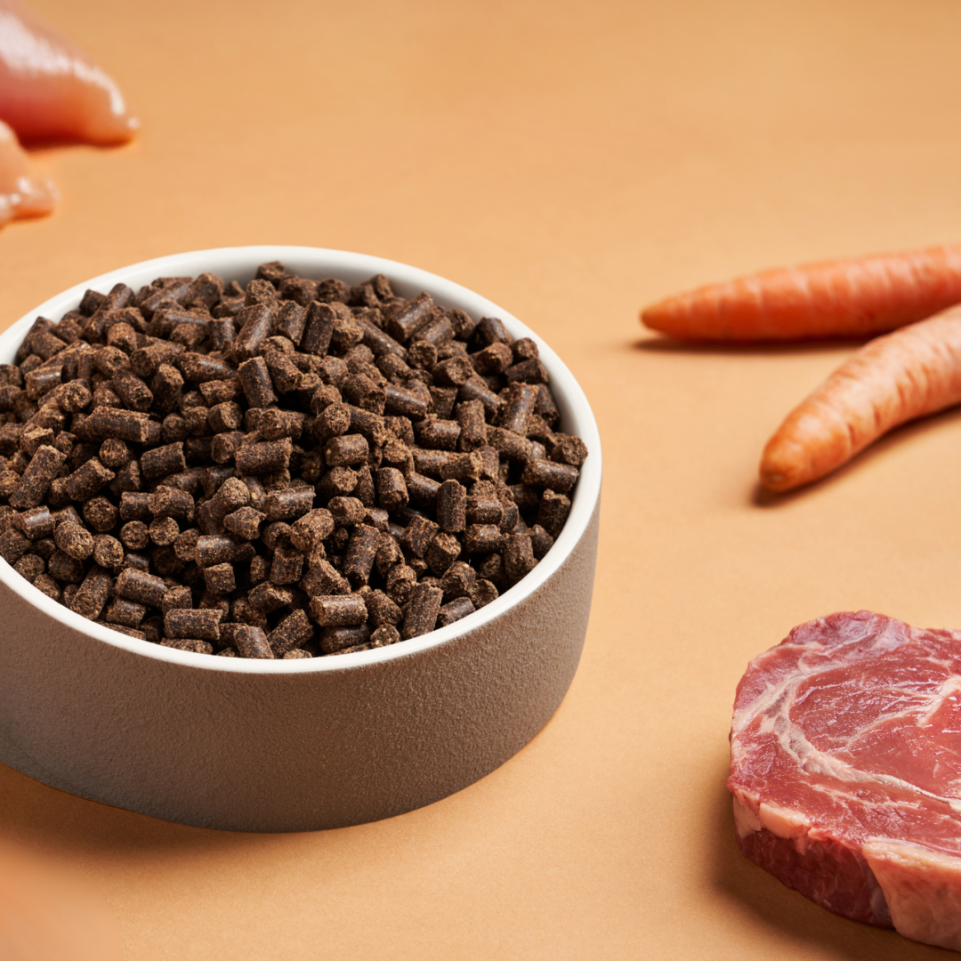 Darf Mini Cold Pressed Dog Food