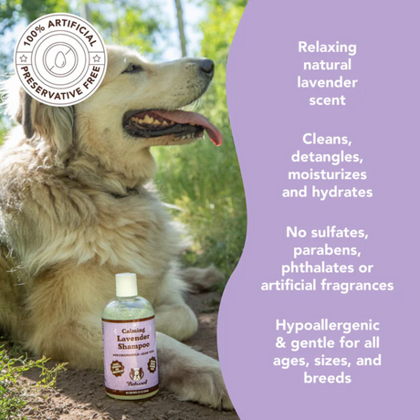 Cream dog beside a bottle of Calming Lavender Shampoo, to the right of text saying "Relaxing natural lavender scent. Cleans, detangles, moisturizes and hydrates. No sulfates, parabens, phthalates or artificial fragrances. Hypoallergenic & gentle for all ages, sizes and breeds."