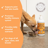 Benefits of Natural Dog Company Salmon Oil beside the image of a dog eating kibble with the salmon oil.