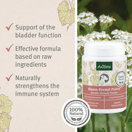 Tub of AniForte Bladder Formula Powder to the right of text saying "Support of the bladder function", "Effective formula based on raw ingredients", "Naturally Strengthens the Immune System"