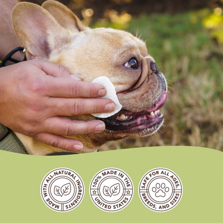 Hand wiping the face of a French Bulldog with a Natural Dog Company Wrinkle Wipe. Icons below the photo say "Made with all natural ingredients. 100% made in the USA, and Safe for all ages, breeds and sizes"