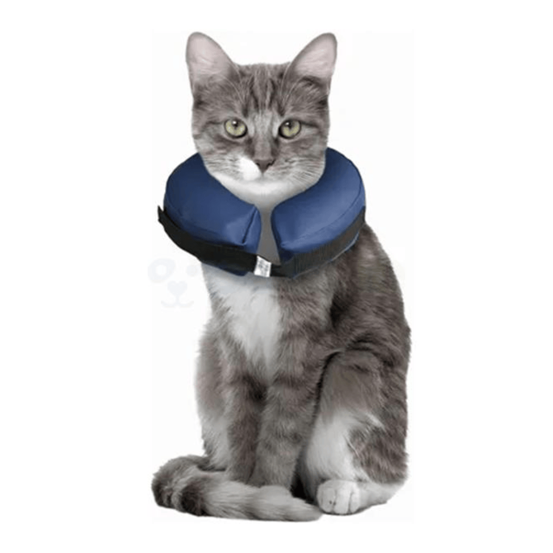 Flamingo Inflatable Collar