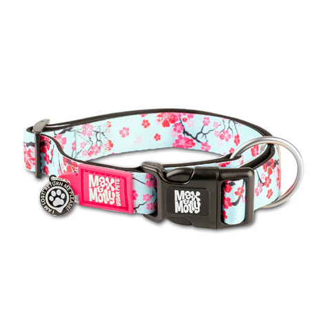 Max and Molly Cherry Blossom Dog Collar