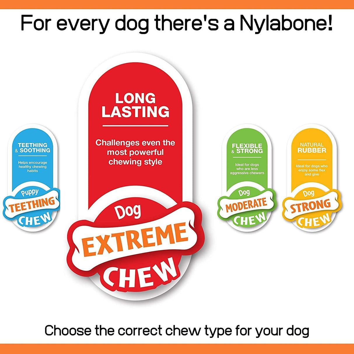 Nylabone Extreme Small Dog Variety Pack
