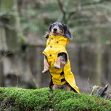 Rukka Stream Yellow Raincoat