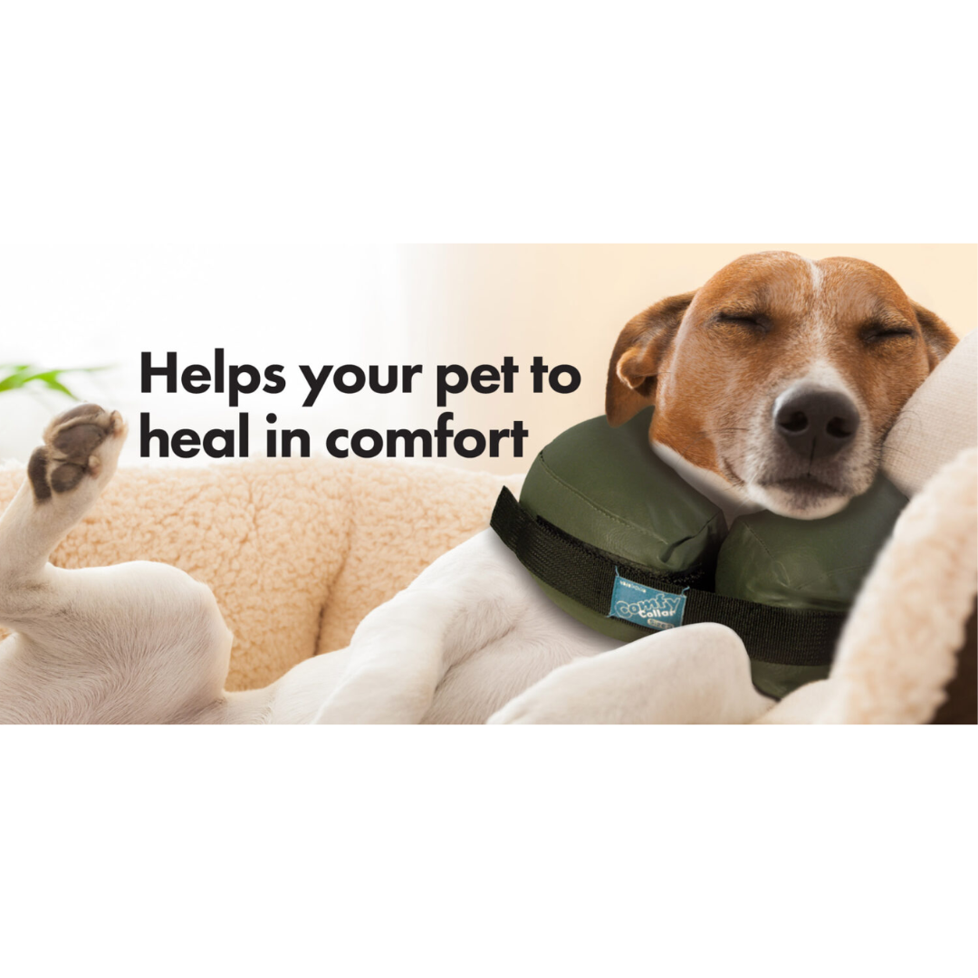 Comfy cone sizes clearance