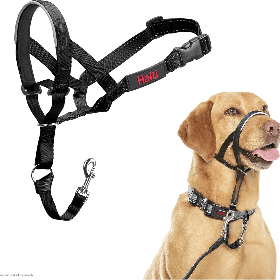 Halti Head Collar for Dogs