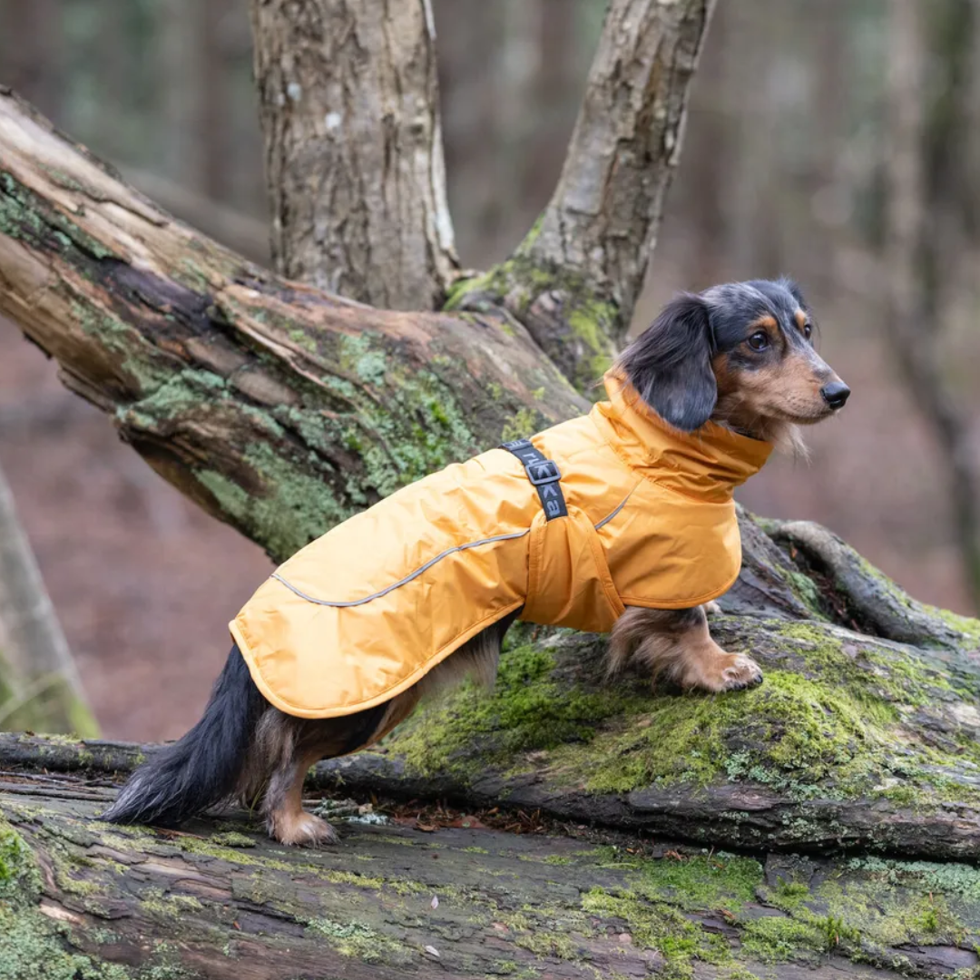 Yellow 2025 mac raincoat