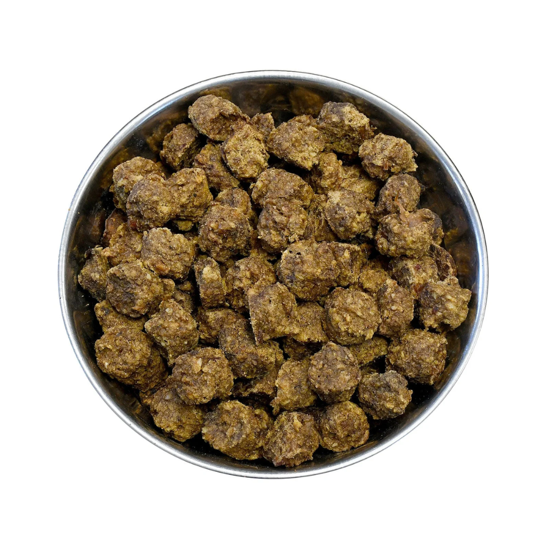 Fetch dry dog deals food