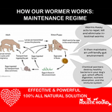 Holistic Hound Worms Away - Natural Dog Wormer