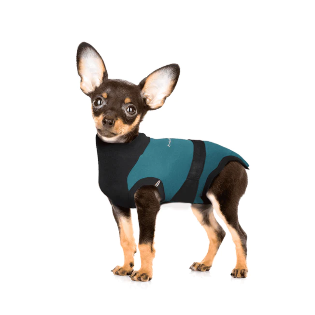 MAXX Surgical Recovery Suit for Dogs