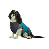 MAXX Surgical Recovery Suit for Dogs