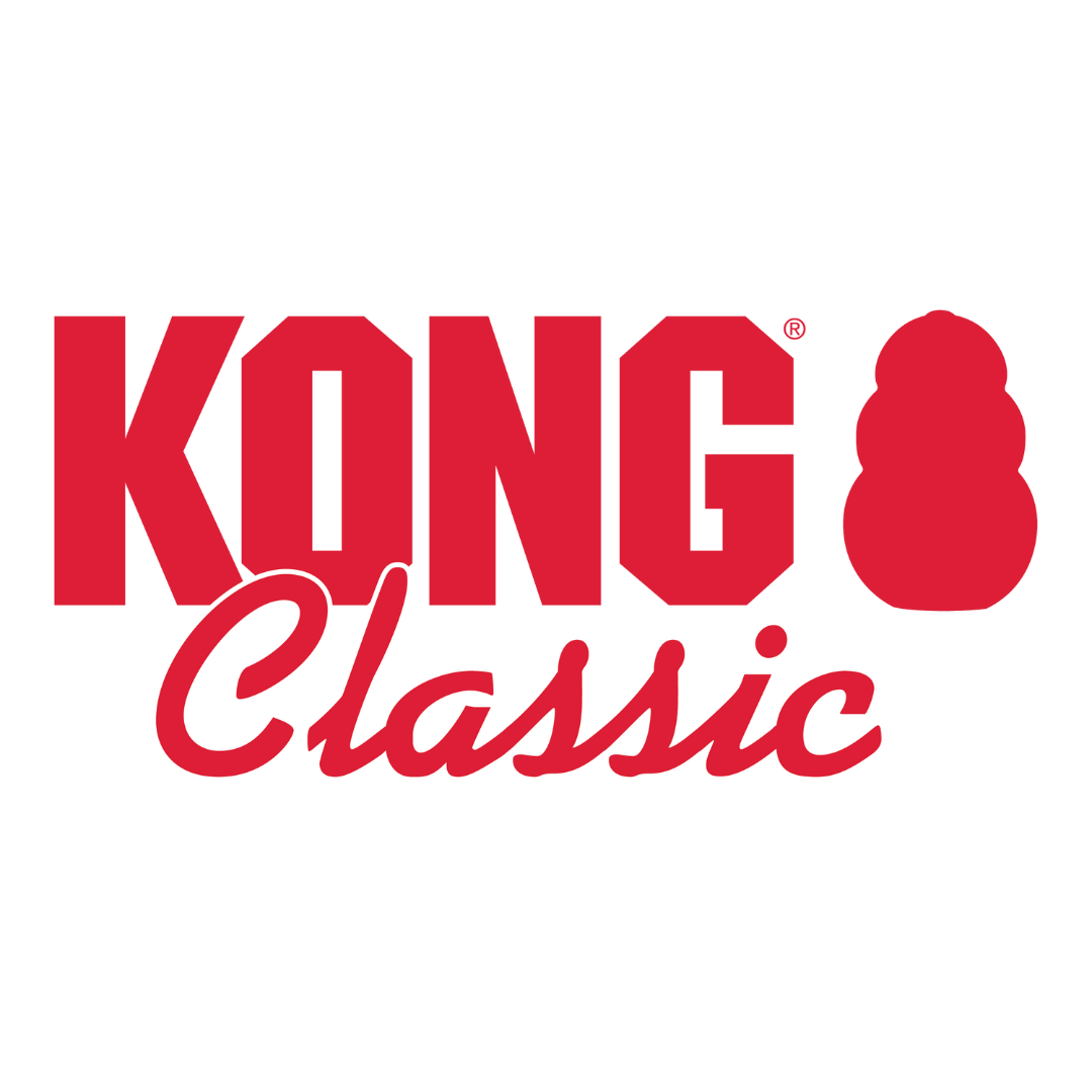 Classic kong for puppies sale