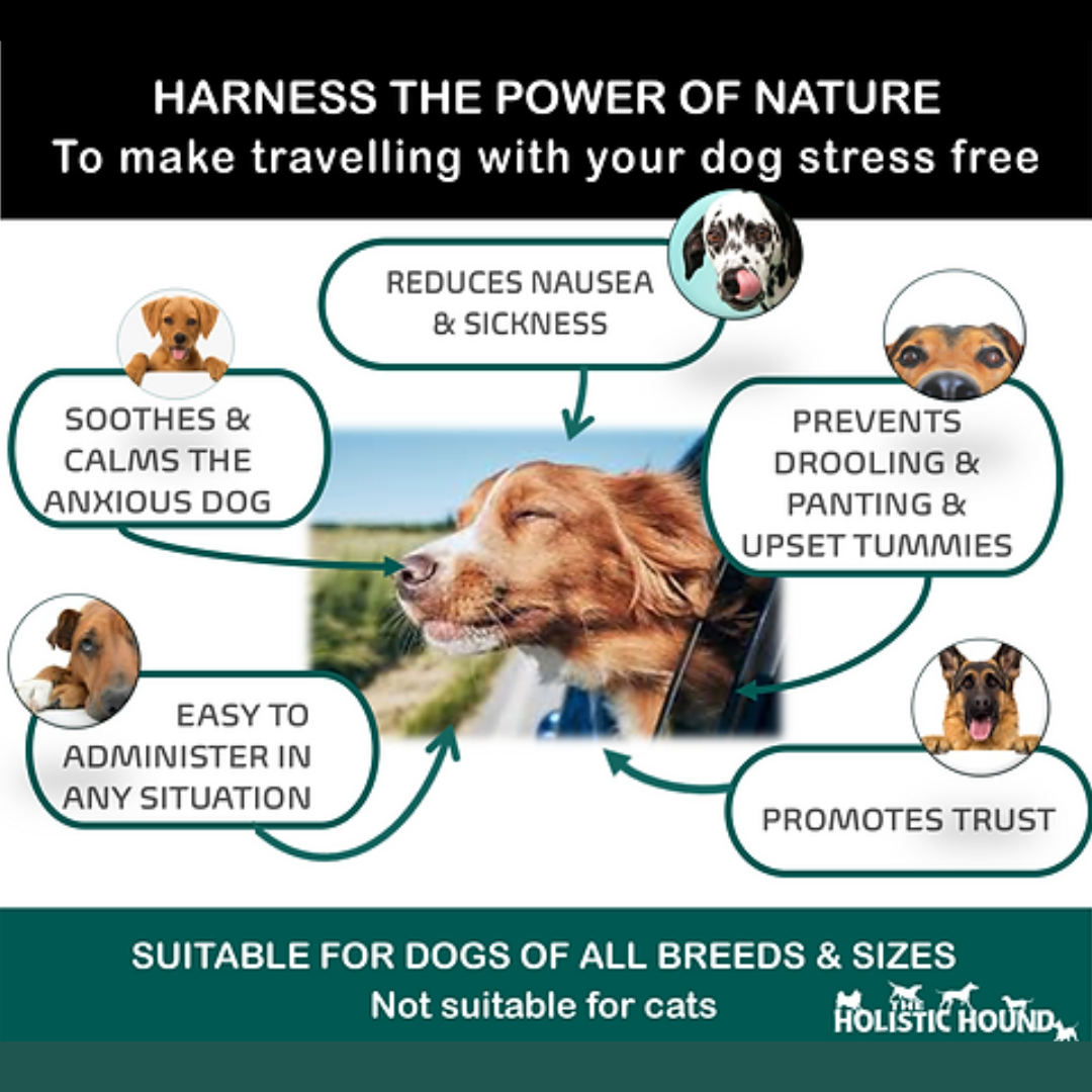 Holistic Hound Travel Well Spray