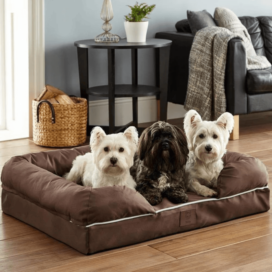 Bunty Cosy Couch Mattress Dog Bed - Main Image