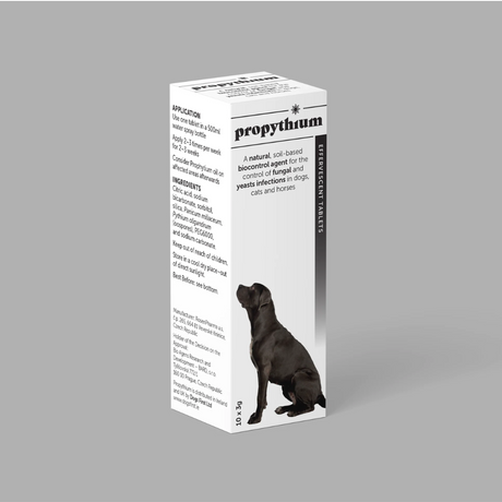 Box of Dogs First Propythium Effervescent Tablets - Natural Yeast Killer