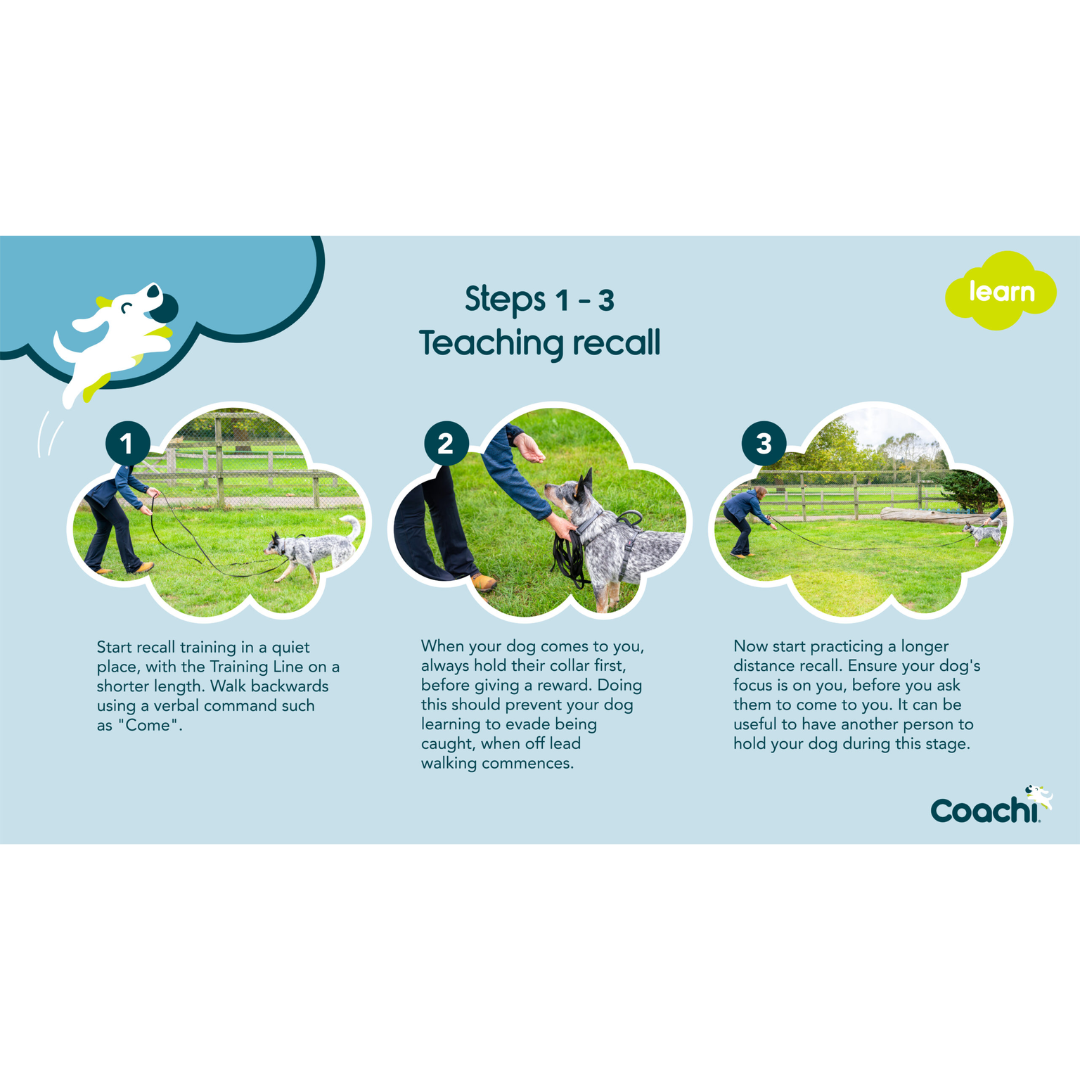Coachi 10 Meter Training Line