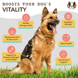 Some key benefits of using the Natural Dog Company Ultra Omega Oil