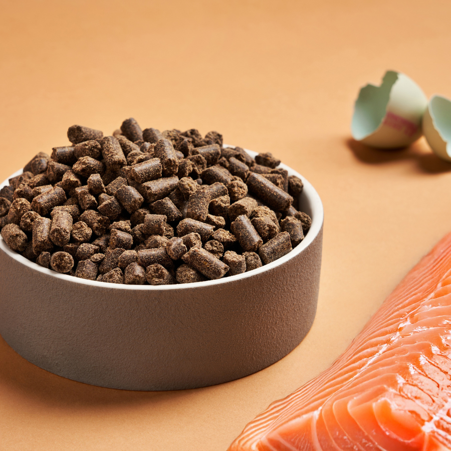 DARF Salmon Cold Pressed Dog Food