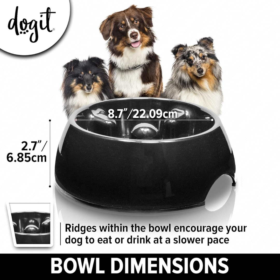 Dogit go slow online
