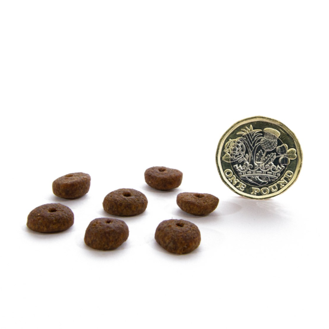 Canagan country deals game dog food