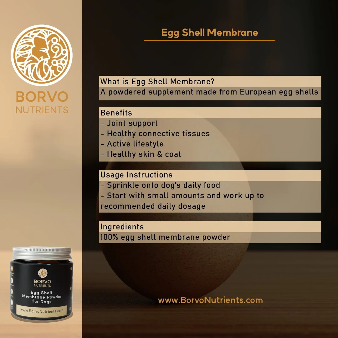 Eggshell Membrane for Dogs - Borvo Nutrients