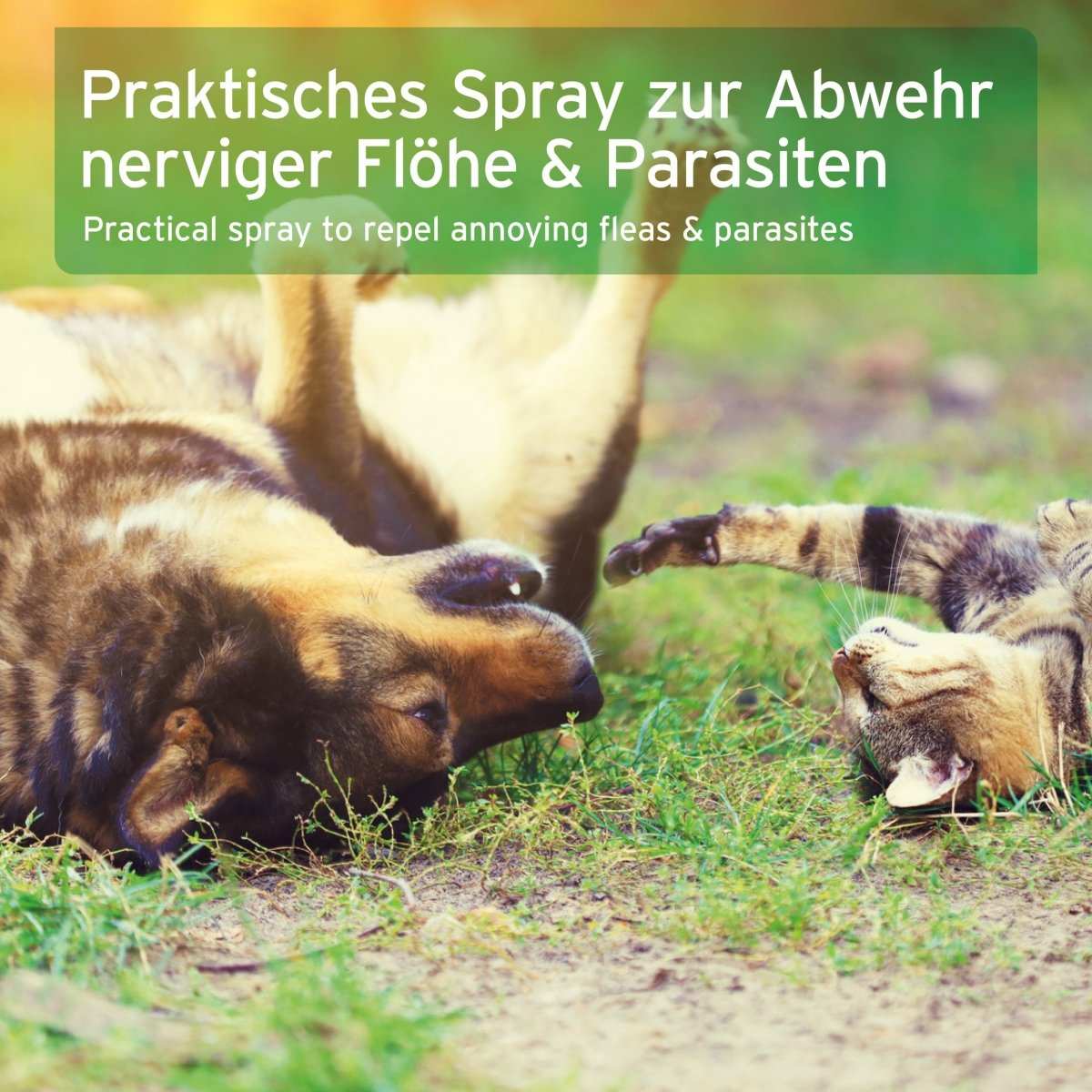 AniForte Flea-EX Spray