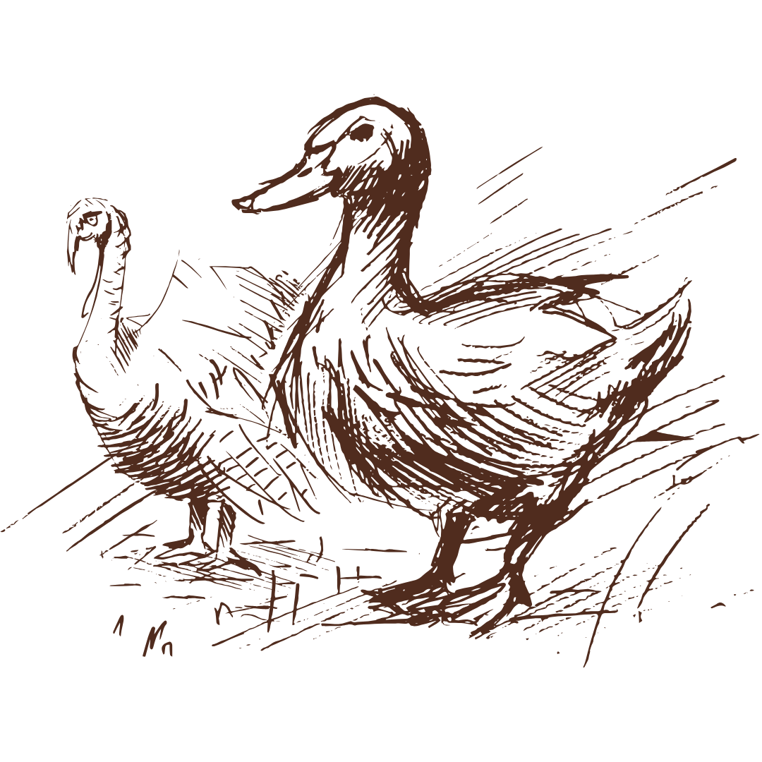 Grandorf Duck and Turkey Wet Food for Dogs