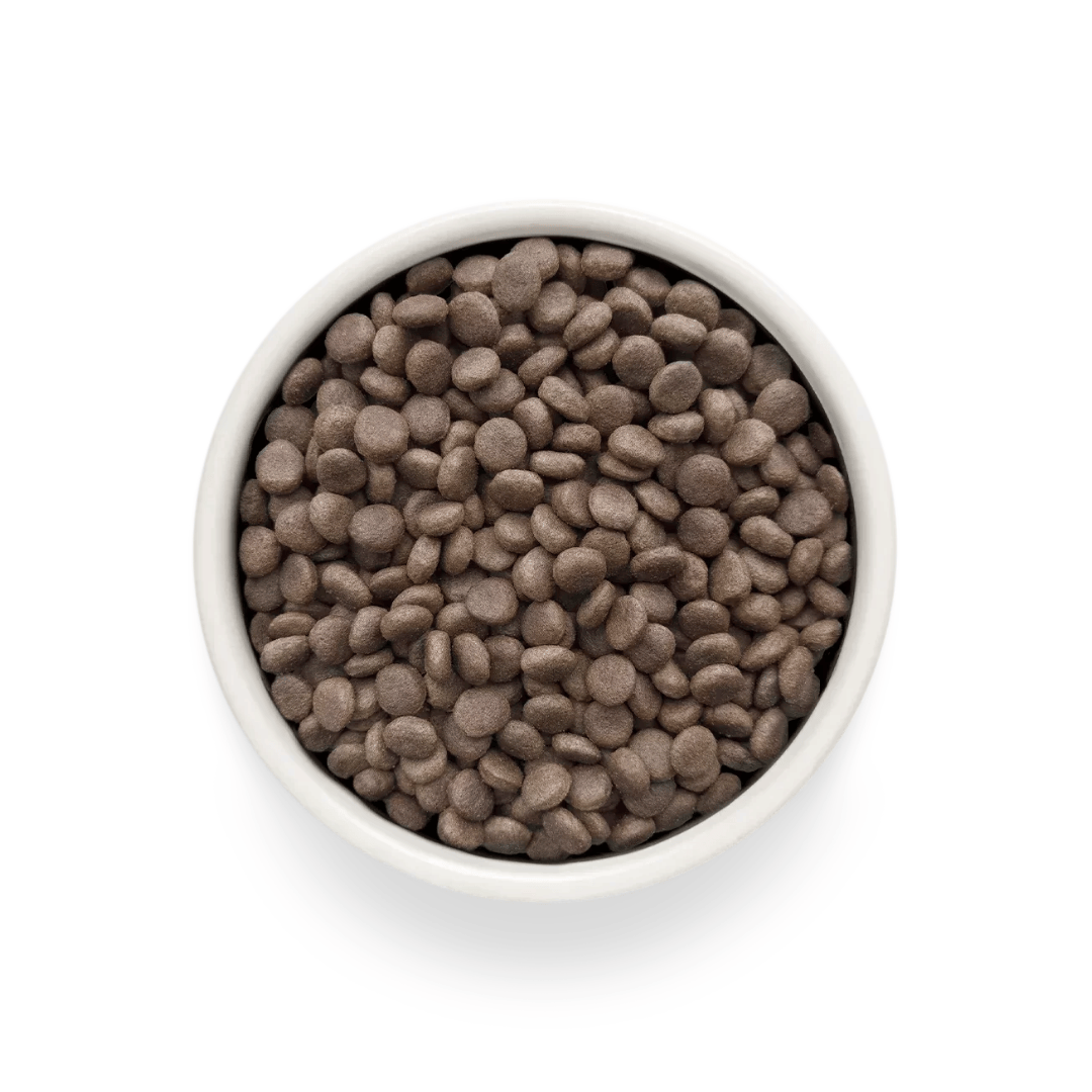Grandorf Vet Renal Dog Food - Turkey