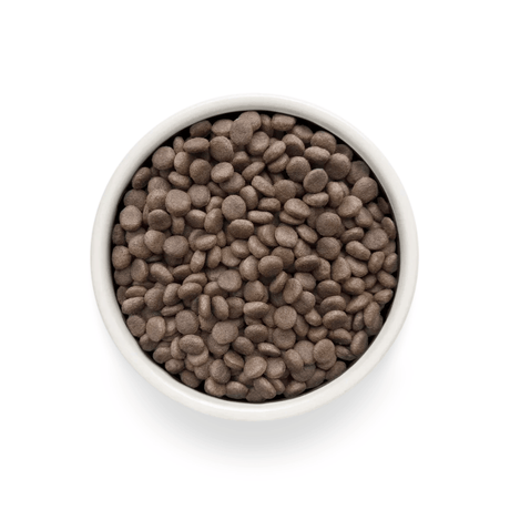 Grandorf Vet Renal Dog Food - Turkey