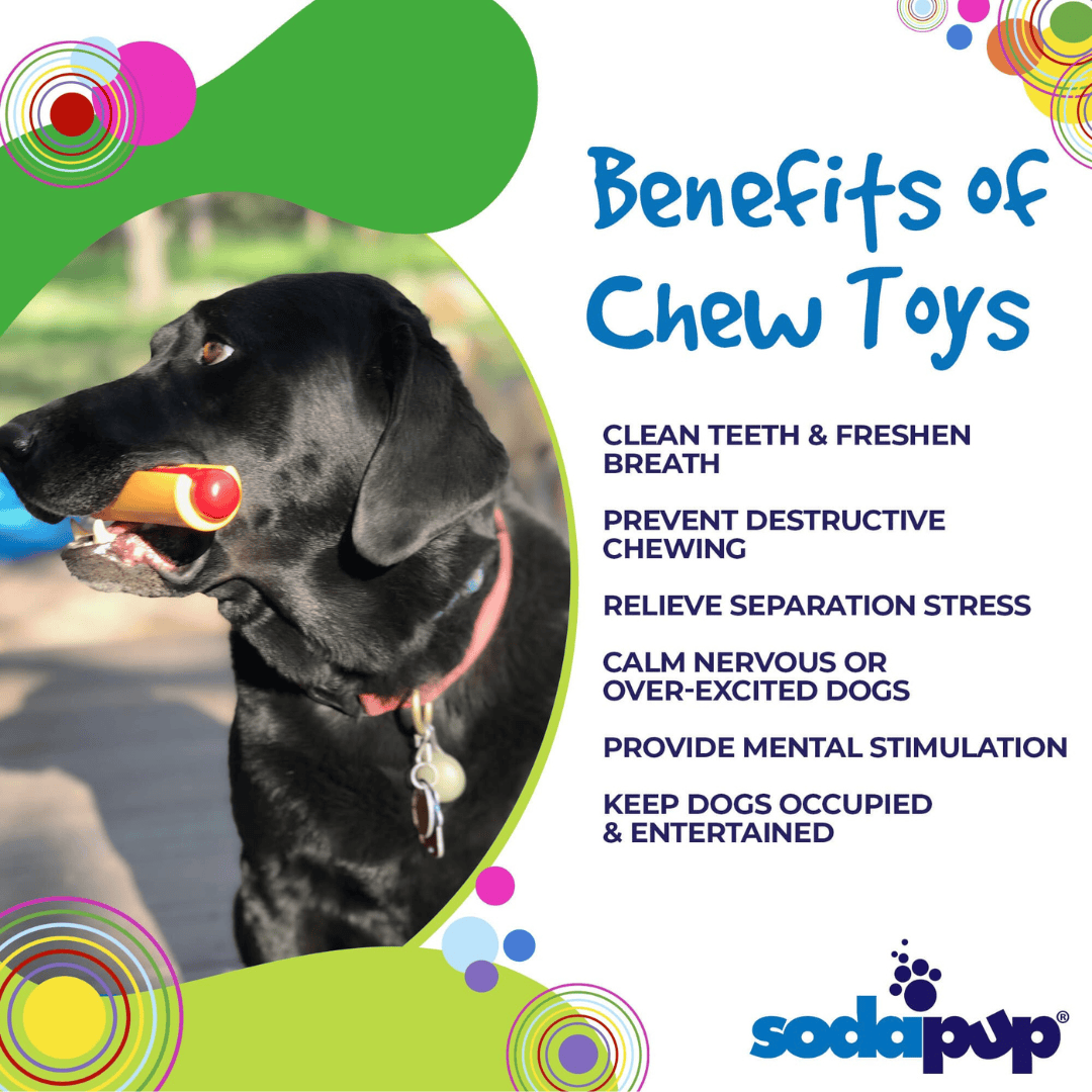SodaPup Hot Dog Nylon Dog Chew