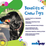 SodaPup Hot Dog Nylon Dog Chew