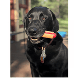 SodaPup Hot Dog Nylon Dog Chew
