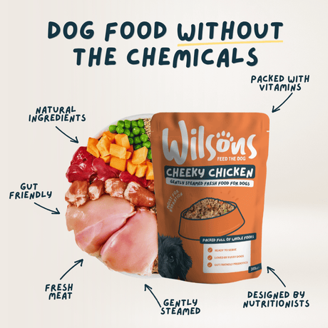 Wilsons Cheeky Chicken Fresh Dog Food