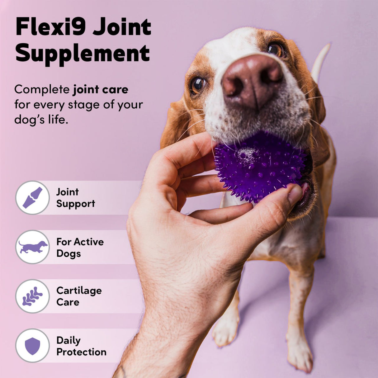 Flexi9 - Joint Supplement