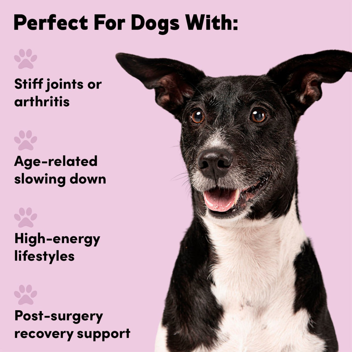 Flexi9 - Joint Supplement