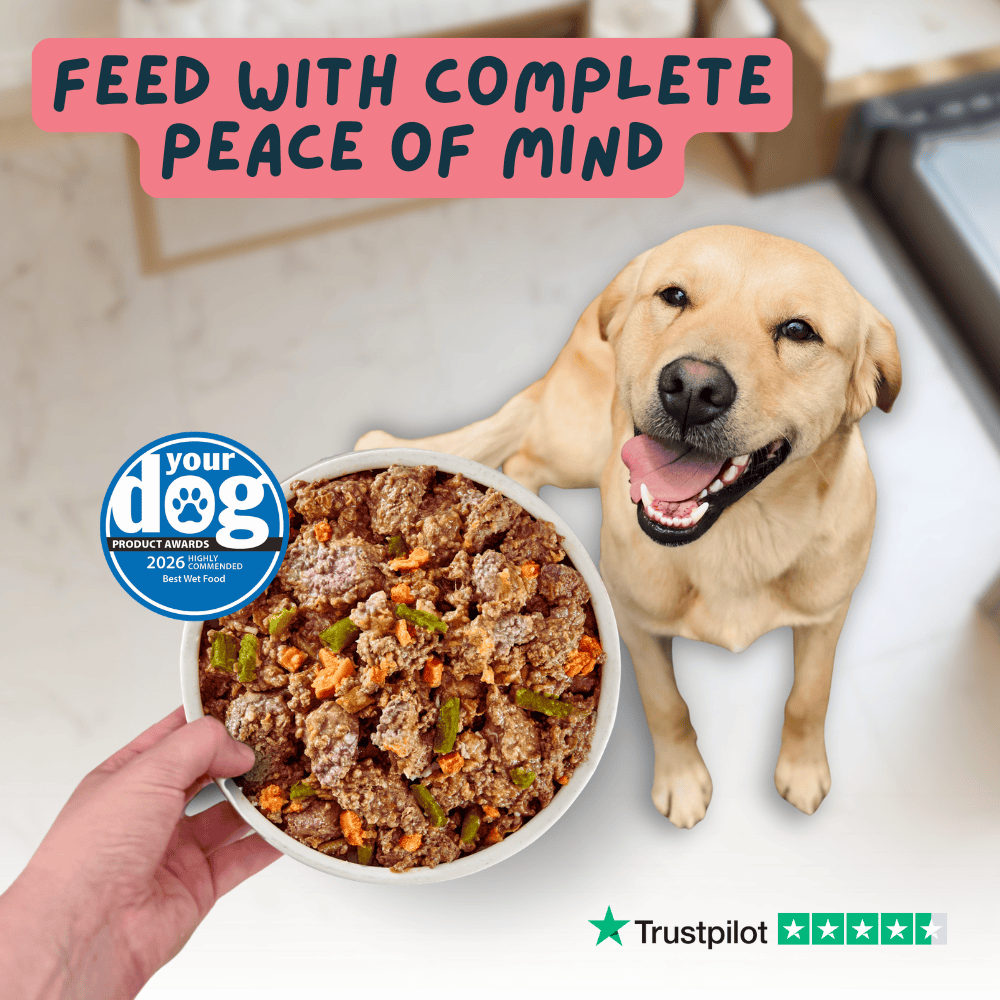Wilsons Bougie Beef Fresh Dog Food