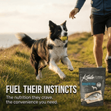 Dog running with a tennis ball in its mouth, person in the background, Kudo Adriatic Fish dog food package displayed.